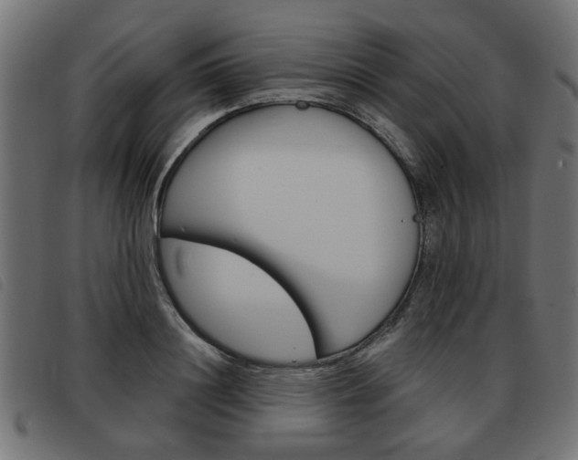 X0000093580844200710150956