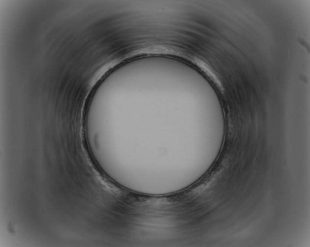 X0000093580845200710150956