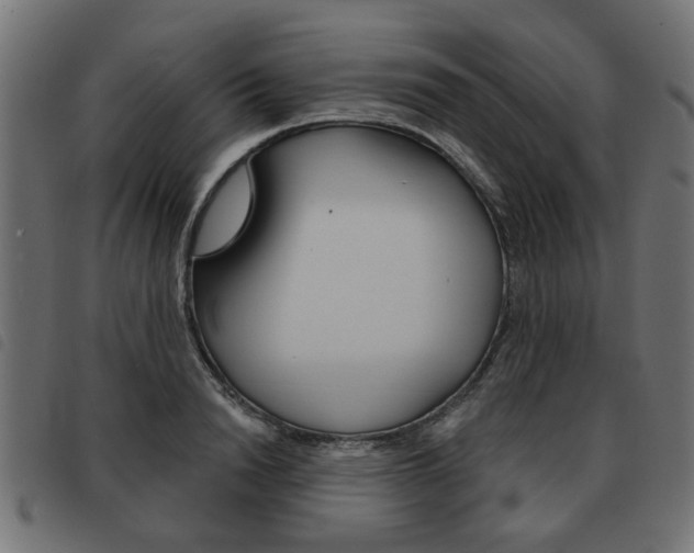 X0000093580846200710150956