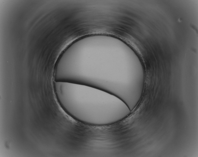 X0000093580847200710150956