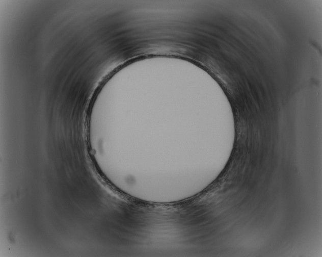 X0000093580848200710150956