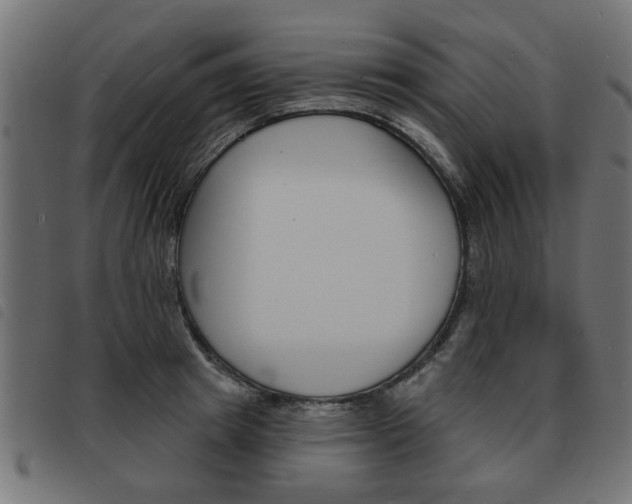 X0000093580849200710150956