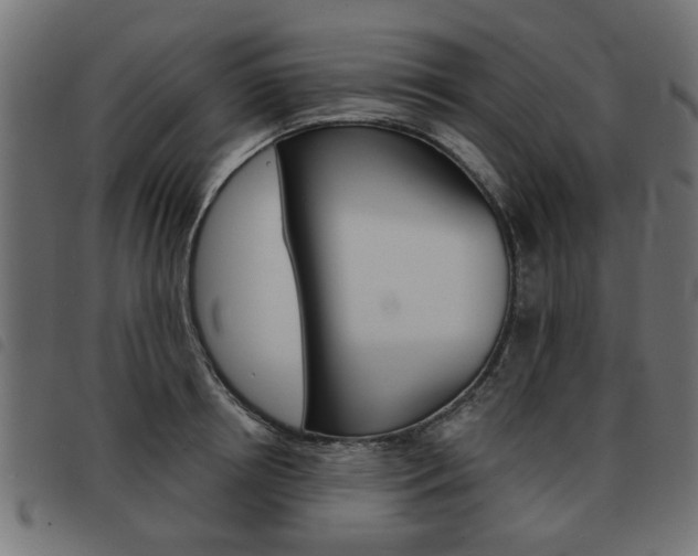 X0000093580850200710150956