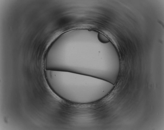 X0000093580851200710150956