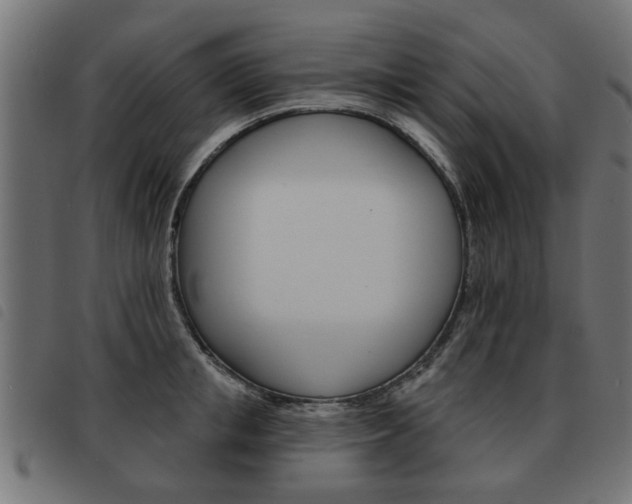 X0000093580853200710150956