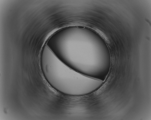 X0000093580854200710150956