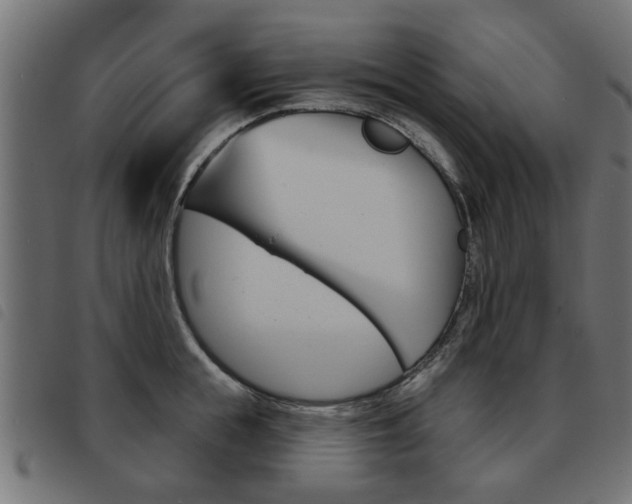 X0000093580855200710150956