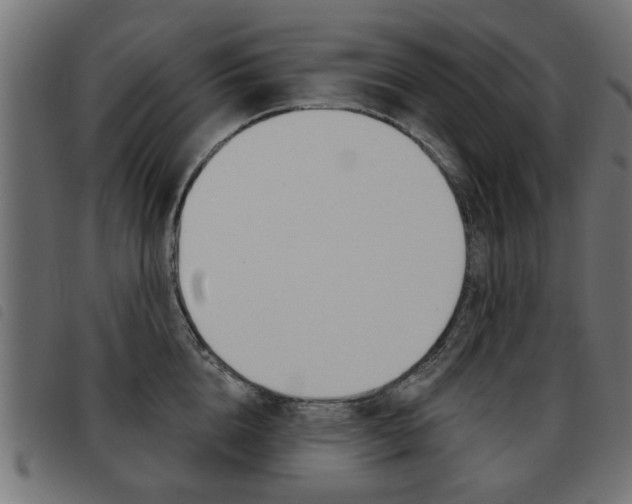 X0000093580856200710150956