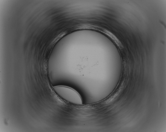 X0000093580857200710150956
