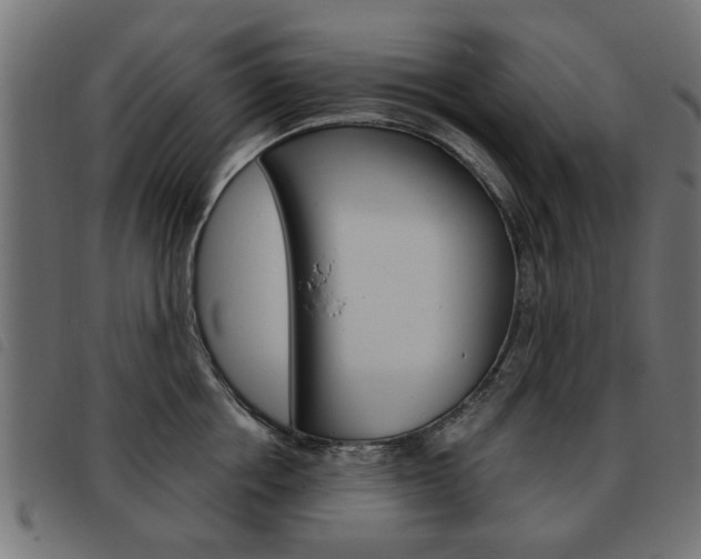 X0000093580858200710150956