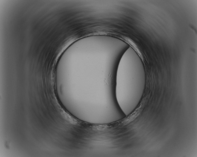 X0000093580859200710150956