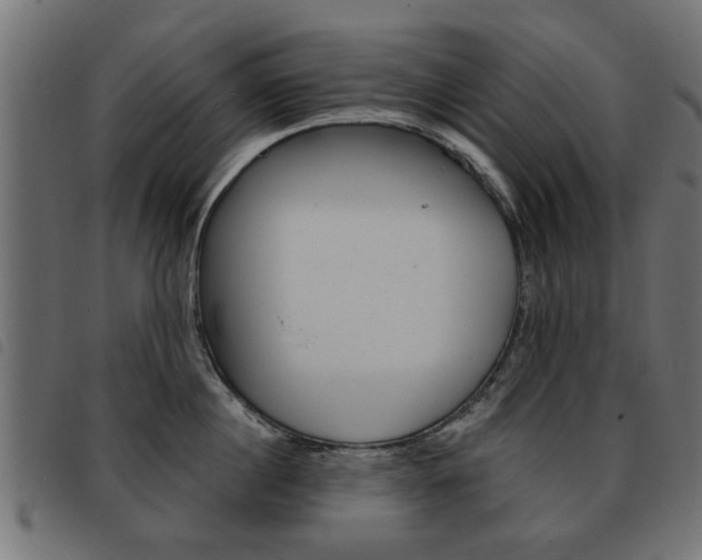 X0000093580860200710150956