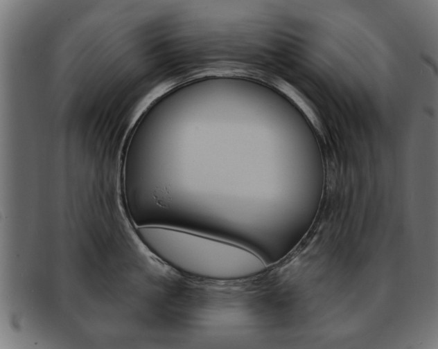 X0000093580861200710150956
