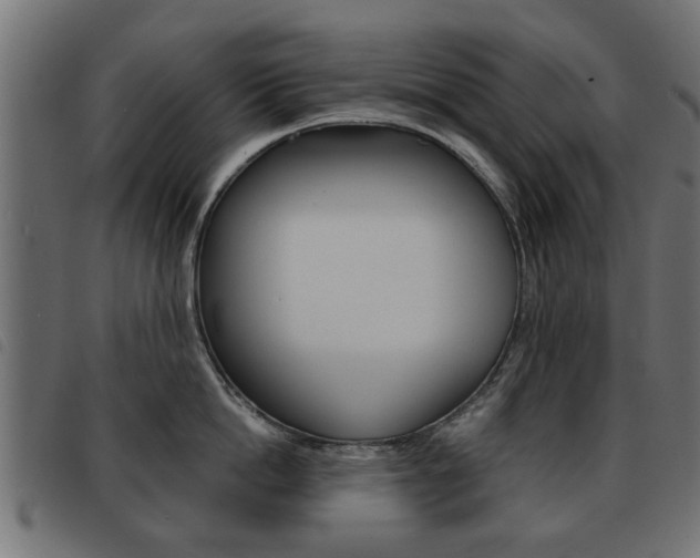 X0000093580862200710150956