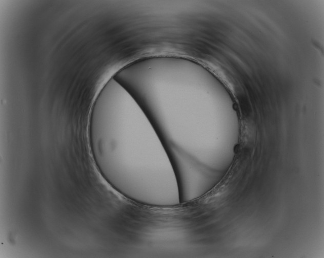 X0000093580863200710150956