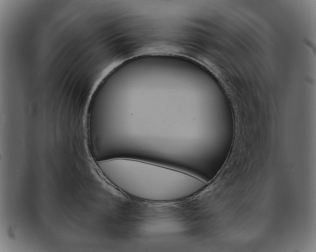 X0000093580864200710150956