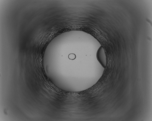 X0000093580866200710150955