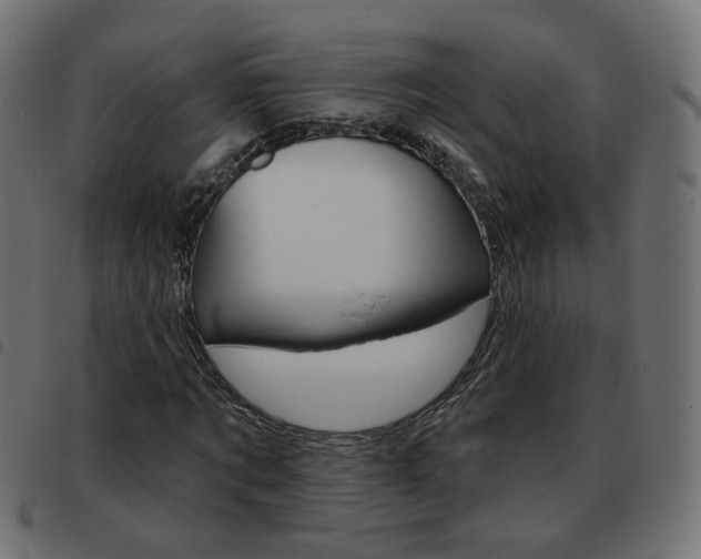 X0000093580869200710150955
