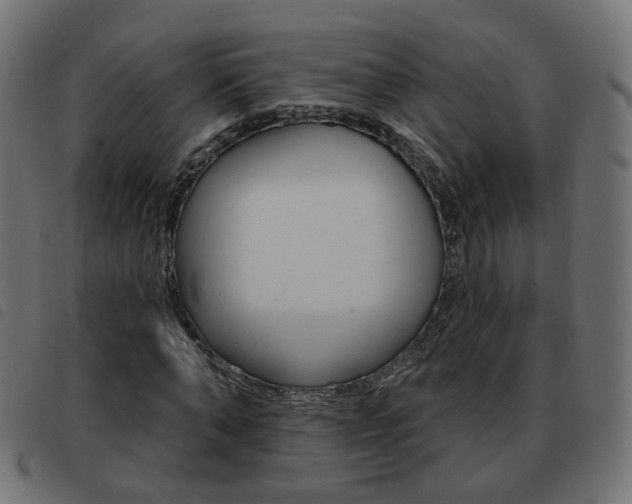 X0000093580870200710150955