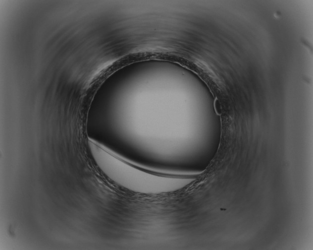 X0000093580872200710150955