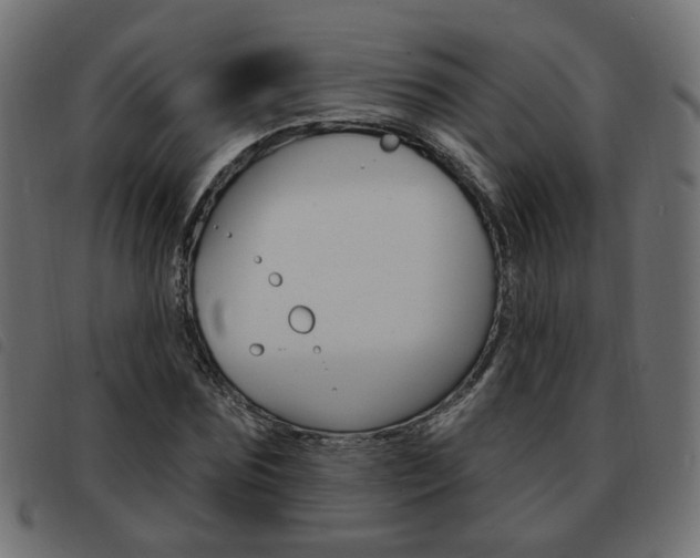 X0000093580875200710150955