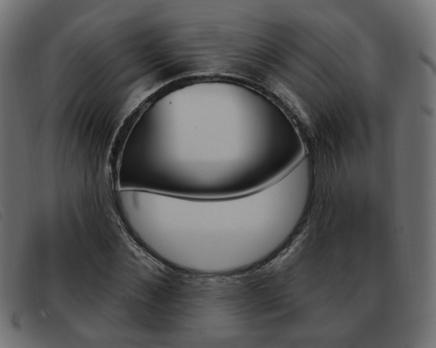 X0000093580876200710150955