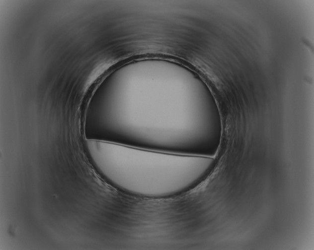 X0000093580877200710150955