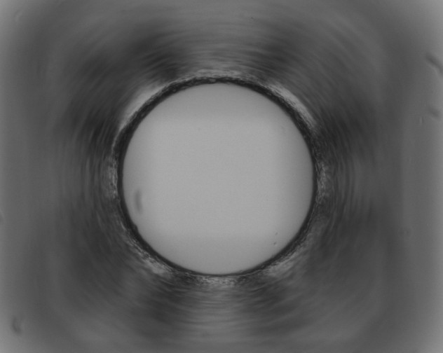 X0000093580878200710150955