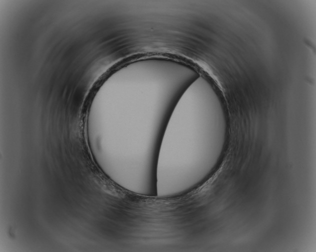 X0000093580879200710150955