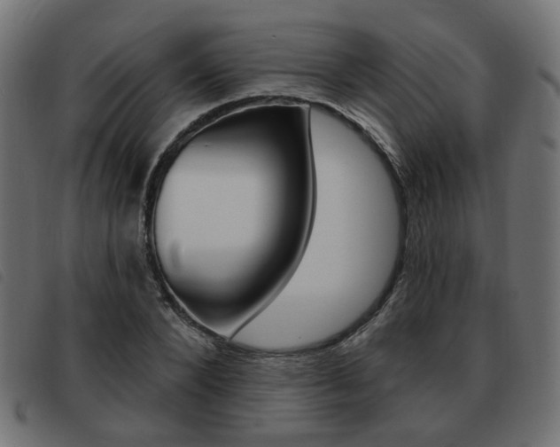 X0000093580880200710150955