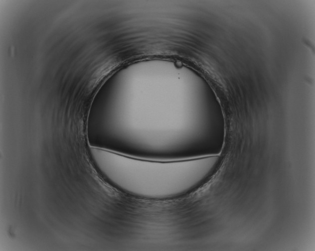 X0000093580881200710150955