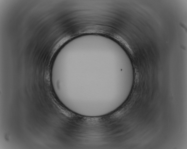 X0000093580882200710150955