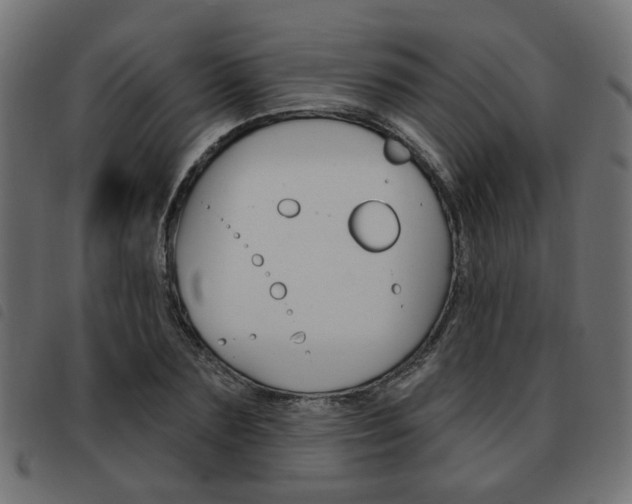 X0000093580883200710150955