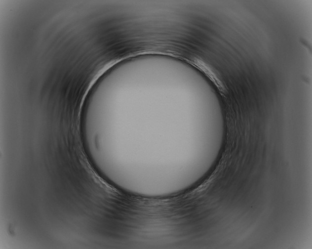 X0000093580884200710150955