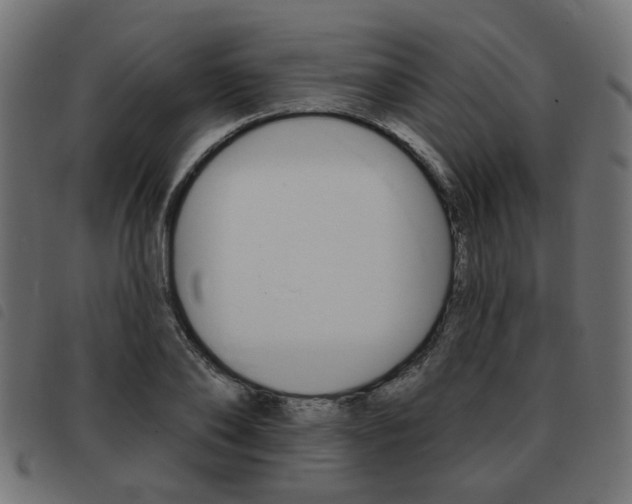 X0000093580886200710150955