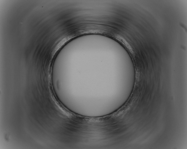 X0000093580890200710150955