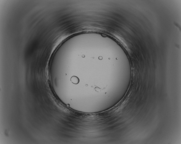 X0000093580891200710150955