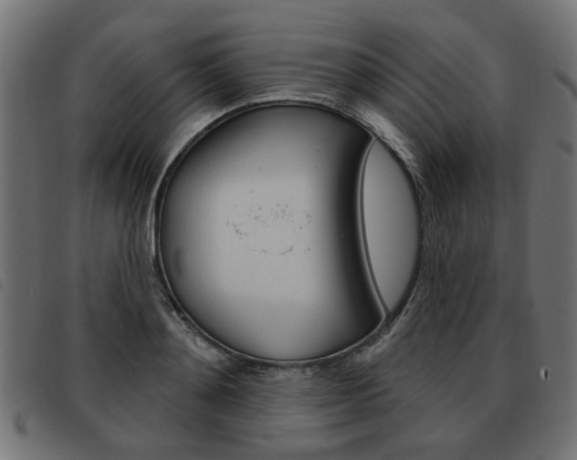 X0000093580892200710150955