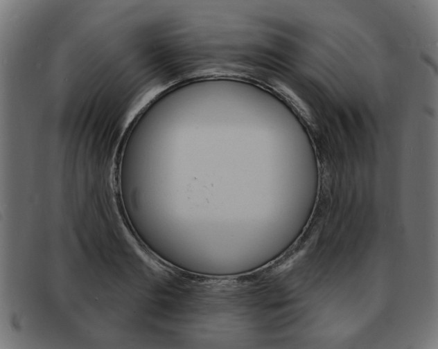 X0000093580893200710150955