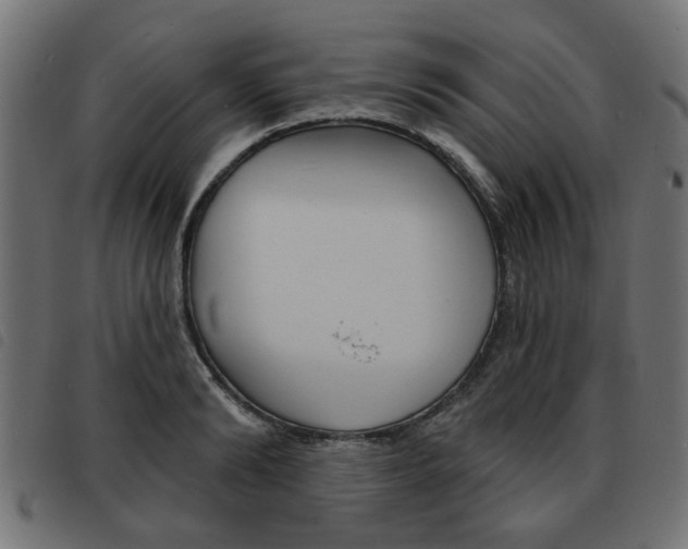 X0000093580894200710150955