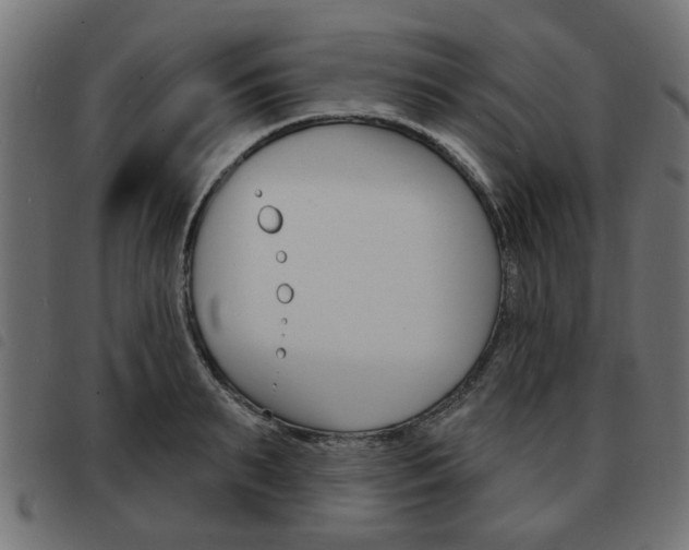 X0000093580895200710150955