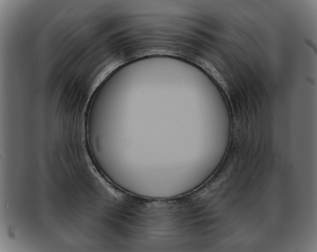 X0000093580898200710150955