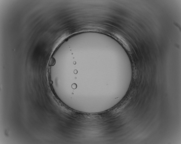 X0000093580899200710150955