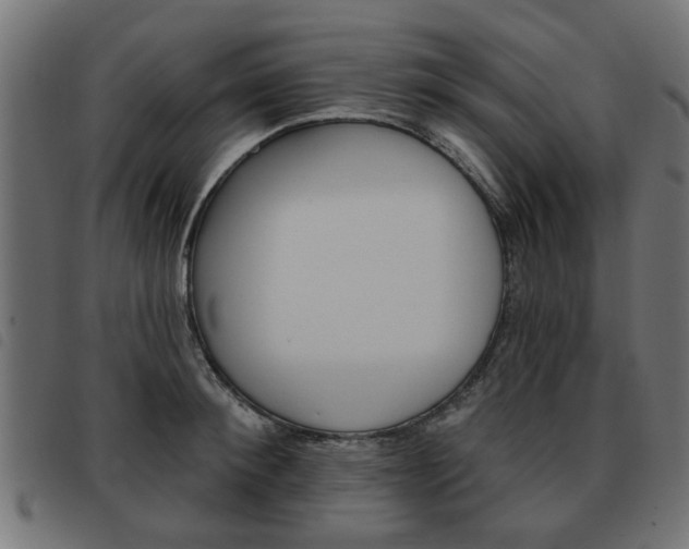 X0000093580900200710150955