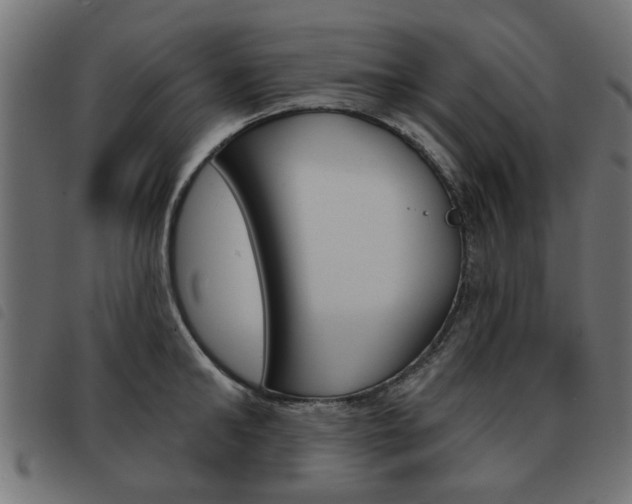 X0000093580902200710150955