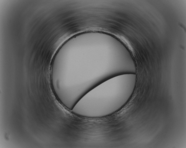 X0000093580903200710150955