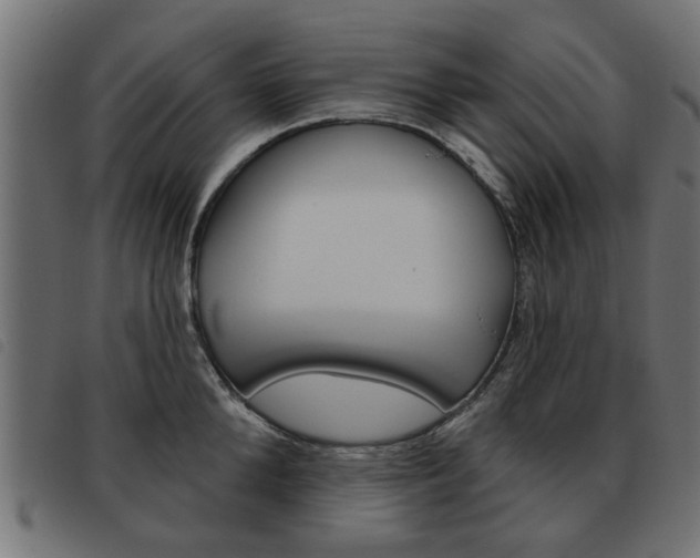 X0000093580904200710150955