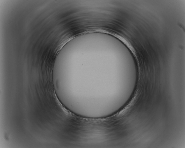 X0000093580905200710150955
