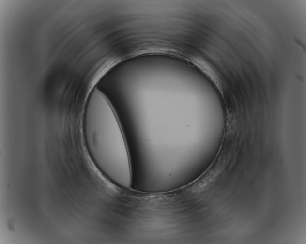X0000093580906200710150955