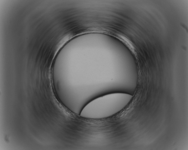 X0000093580907200710150955